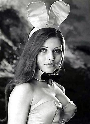 debbie20harry20playboy20bunny.jpg