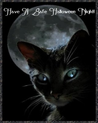 black_cat-lightning-halloween-comme.jpg