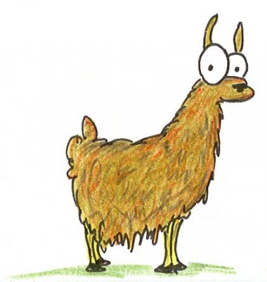 llama1.jpg