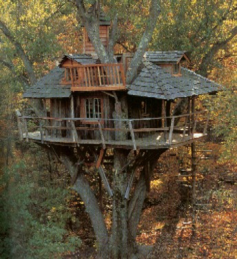 A treehouse.jpg