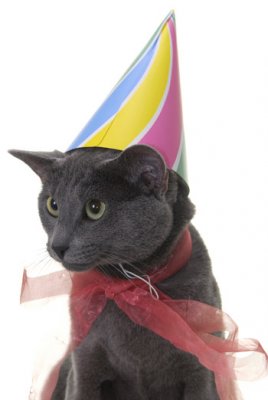 A cat birth.jpg