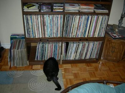 Styx views lps.jpg