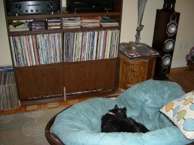 Stereo Styx 3.jpg