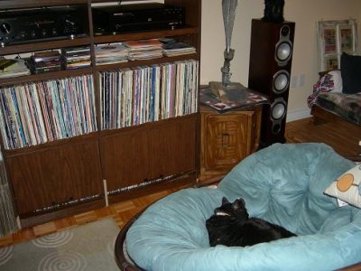 Stereo Hepcat.jpg