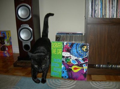 Styx Scruffy lp.jpg