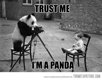 funny-panda-taking-photo-kid.jpg