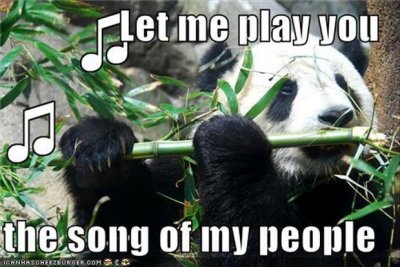 let-me-play-you-the-song-of-my-people-funny-panda-bear.jpg