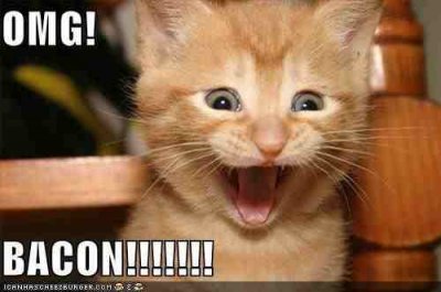 cat-funny-3.jpg