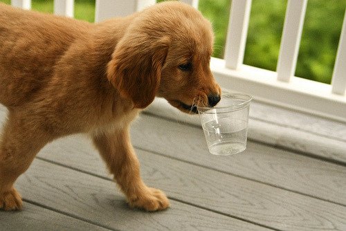 tumblr_lq8lcxQaf41qcn3jyo1_500.jpg