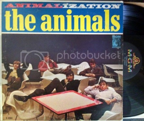 animalization.jpg