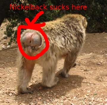 monkeybutt.jpg