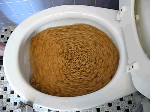 tumblr_m85ftxJTg21qb5gkjo1_500.gif