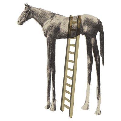 high%2Bhorse.jpg