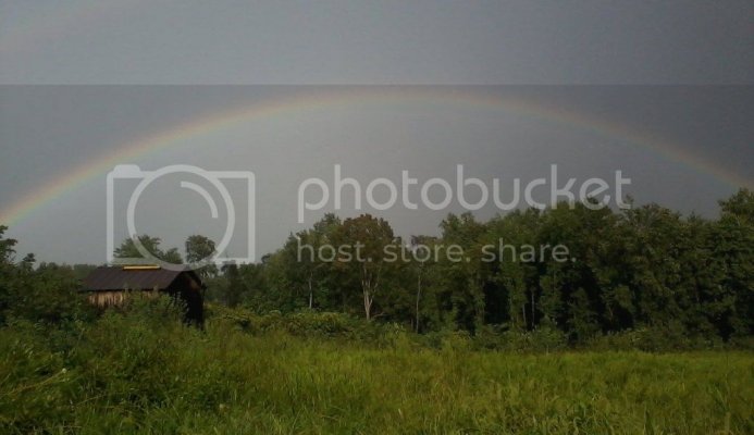 rainbowcropped.jpg