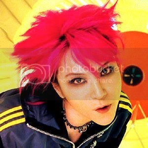 hide-1.jpg