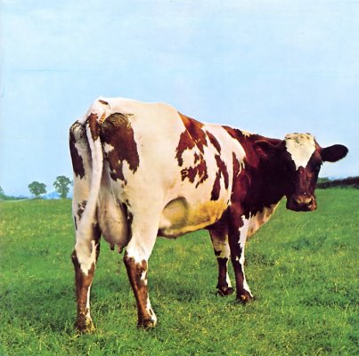 Pink+Floyd+-+Atom+Heart+Mother+-+Cover.jpg