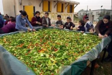 huge%20salad-thumb-380xauto-1557.jpg huge%20salad-thumb-380xauto-1557.jpg