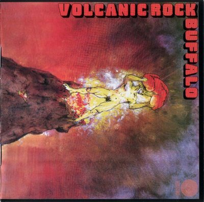 buffalo_volcanic_rock_.jpg