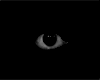 avatar14742_9.gif