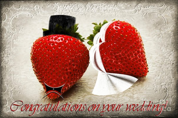 -congratulations-on-your-wedding-andee-photography.jpg
