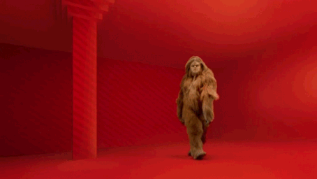 tumblr_ms75gsycOR1r4uqoko1_500.gif