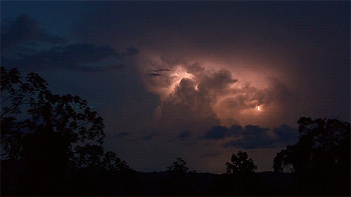 tumblr_mj1370KYbO1qg39ewo1_500.gif