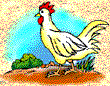 chicken_eats.gif