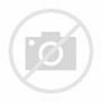 h?id=H.4832204479072744&w=144&h=145&c=7&rs=1&pid=1.jpg