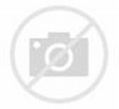 h?id=H.4628824950115099&w=169&h=155&c=7&rs=1&pid=1.jpg