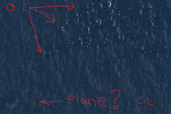 flight-370-courtney-love.png