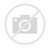 d=HN.607995248408266698&w=161&h=153&c=7&rs=1&pid=1.jpg
