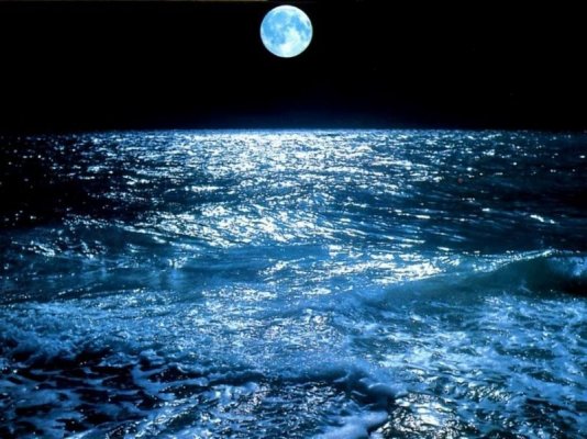 night-time-ocean-t5-1.jpg
