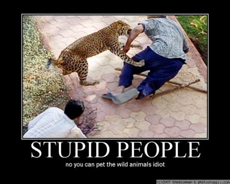 normal_poster29978705.jpg
