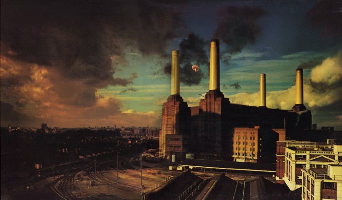 floyd_animals_desktop_1024x600_hd-wallpaper-516372.jpg floyd_animals_desktop_1024x600_hd-wallpaper-516372.jpg