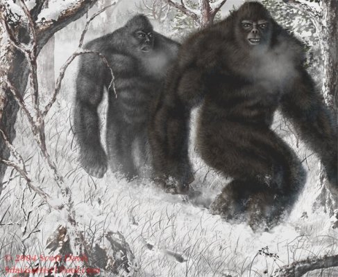 sasquatch.jpg