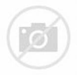 d=HN.607986731629875063&w=156&h=152&c=7&rs=1&pid=1.jpg