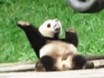 vl4aI.gif