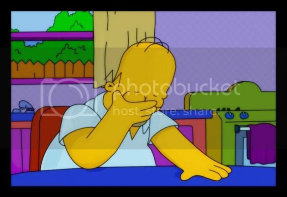 homer_facepalm_zps12760cc5.jpg