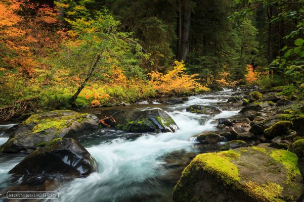 Autumn_on_Sol_Duc.jpg