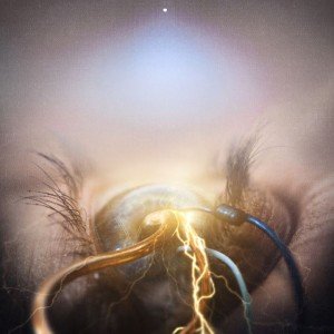 The-Agonist-Eye-Of-Providence-wpcf_300x300.jpg