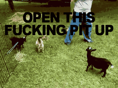tumblr_mk76eqHovw1s51er3o1_400.gif