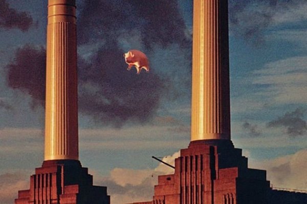 Animals-630x420.jpg
