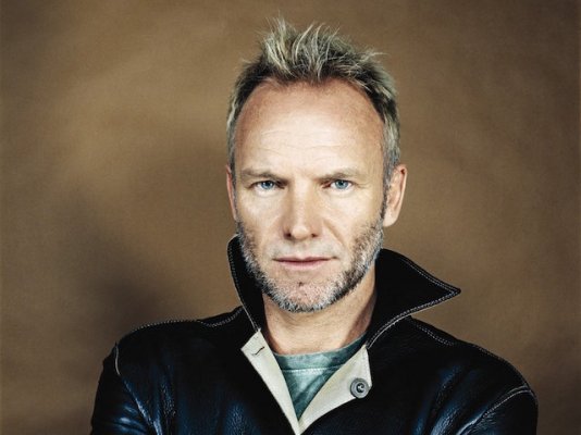 sting-2015.jpg