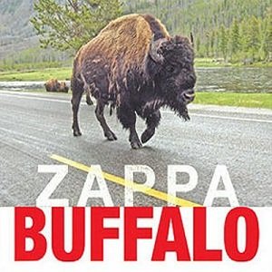 Buffalo_front_SML.jpg