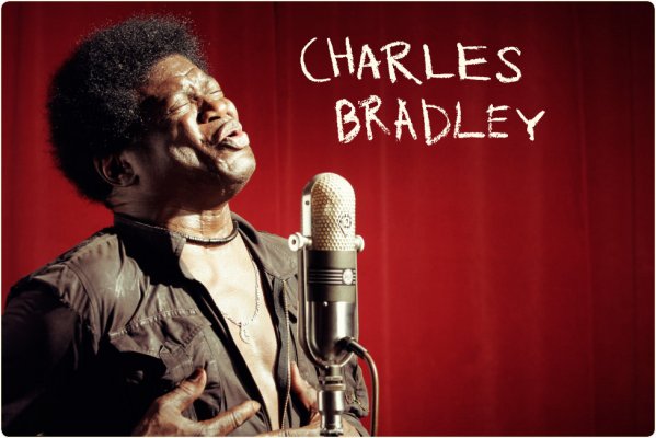Charles-Bradley1.jpg
