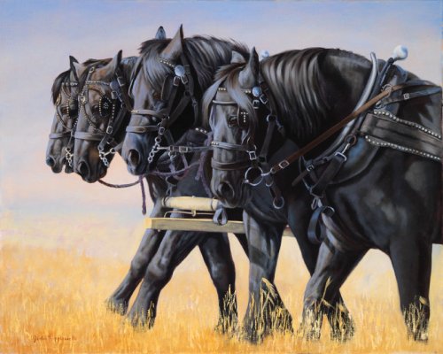 FOUR%20HORSE%20PERCHERON%20TEAM.jpg
