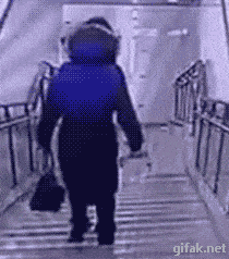 tumblr_oa636h6S0T1sju5dfo1_250.gif