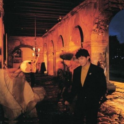 51ApONE02wL.jpg