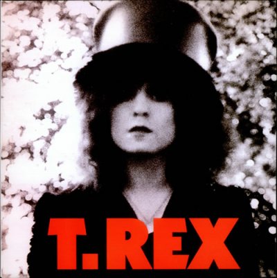 T-Rex++Tyrannosaurus+Rex+The+Slider-526210.jpg