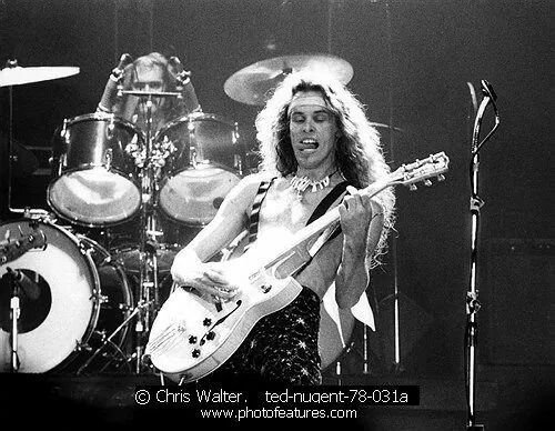 1540e43ecdc43680e9ded1a9c880290c--rock-roll-ted.jpg